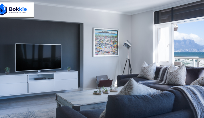 professional cleaning service