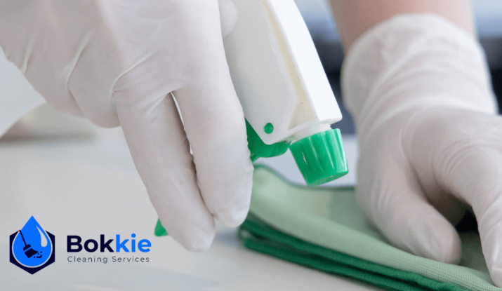 mold and mildew cleaning